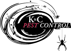 Pest control southend